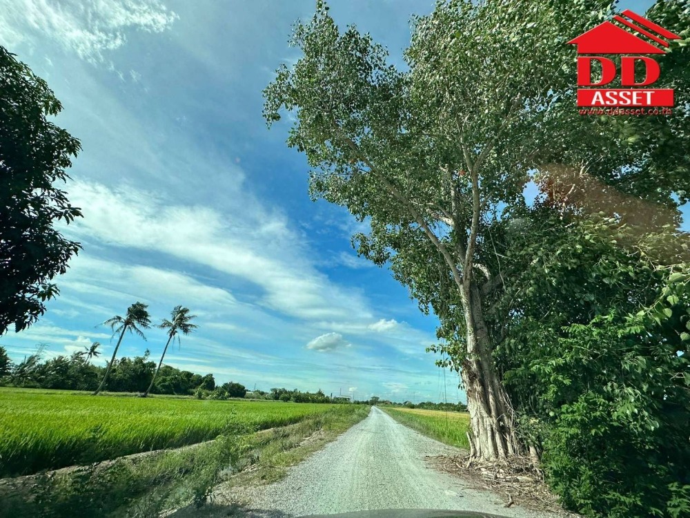 ขายที่ดินนนทบุรี บางใหญ่ บางบัวทอง : ขายที่ดินติดถนน บางกรวย-ไทรน้อย นนทบุรี ใกล้บิ๊กซีไทรน้อย  รหัส L8006