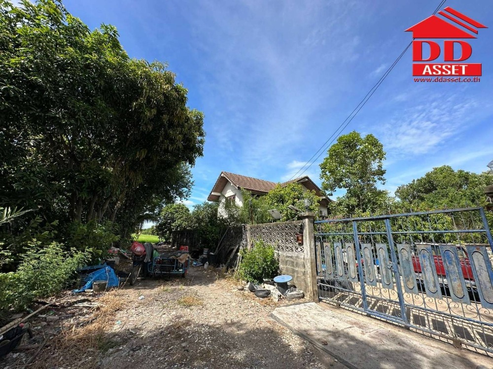 ขายที่ดินนนทบุรี บางใหญ่ บางบัวทอง : ขายที่ดินติดถนน บางกรวย-ไทรน้อย นนทบุรี ใกล้บิ๊กซีไทรน้อย  รหัส L8006