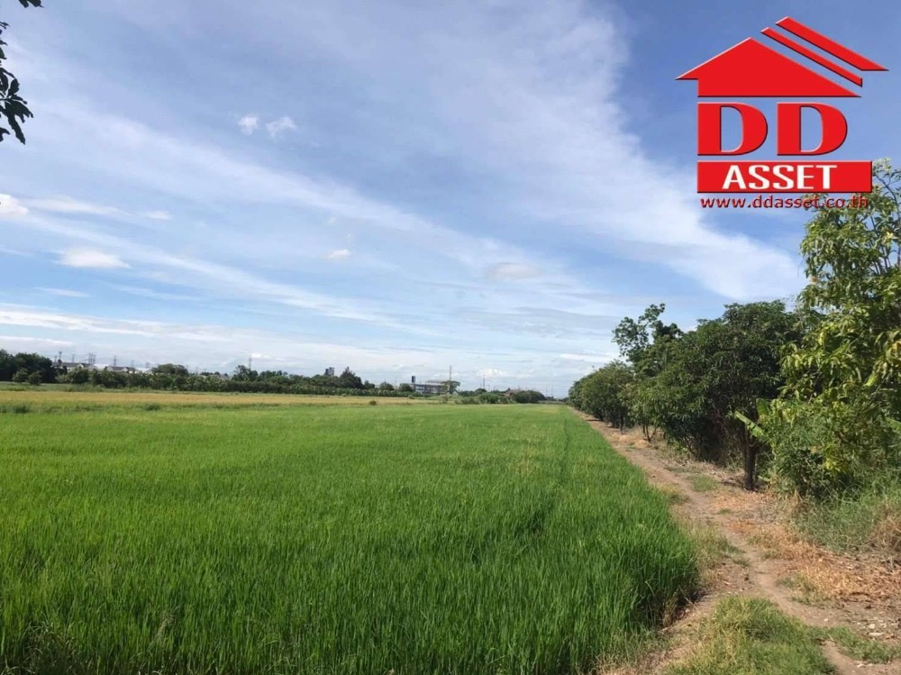 ขายที่ดินนนทบุรี บางใหญ่ บางบัวทอง : ขายที่ดินติดถนน บางกรวย-ไทรน้อย นนทบุรี ใกล้บิ๊กซีไทรน้อย  รหัส L8006