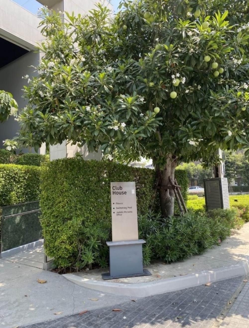 For RentTownhomeMin Buri, Romklao : Rent 3-story townhome, Baan Klang Muang, Rama 9, Krungthep Kreetha 2 bedrooms, 3 bathrooms, 1 walk-in closet, 1 kitchen, 1 large storage room , house area 18 sq m., usable area 152 sq m.