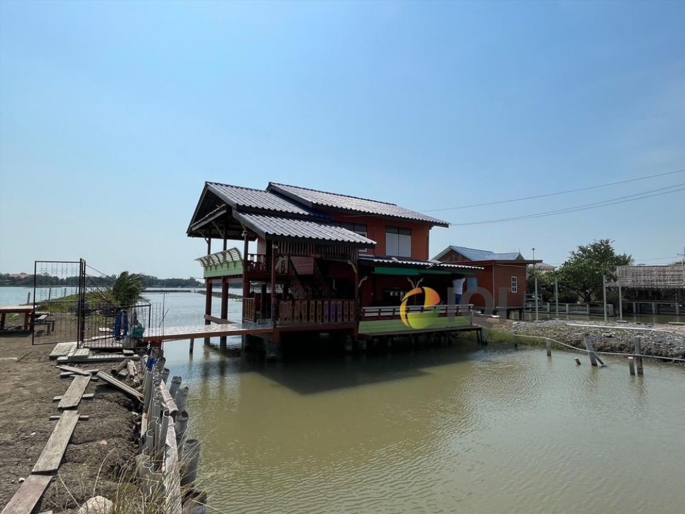 ขายบ้านราษฎร์บูรณะ สุขสวัสดิ์ : ขายบ้านพร้อมที่ดิน พร้อมบ่อปลากระพง พร้อมเฟอร์ครบ บรรยากาศดีมาก บ้านที่ดิน ติดถนนหลัก ต.นาเกลือ อ.พระสมุทรเจดีย์ จ.สมุทรปราการ