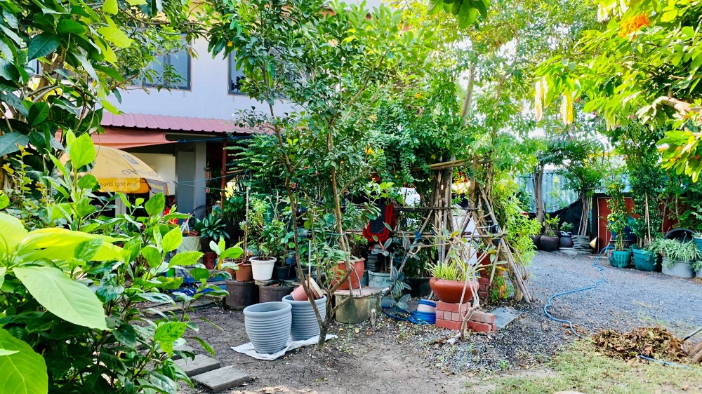 For SaleHousePathum Thani,Rangsit, Thammasat : 2-story detached house for sale, area 166.4 square meters, near Thammasat University, Rangsit, Ban Pathum Subdistrict, Sam Khok District, Pathum Thani Province.