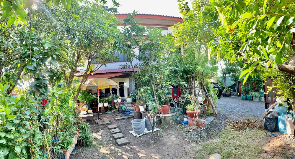 For SaleHousePathum Thani,Rangsit, Thammasat : 2-story detached house for sale, area 166.4 square meters, near Thammasat University, Rangsit, Ban Pathum Subdistrict, Sam Khok District, Pathum Thani Province.