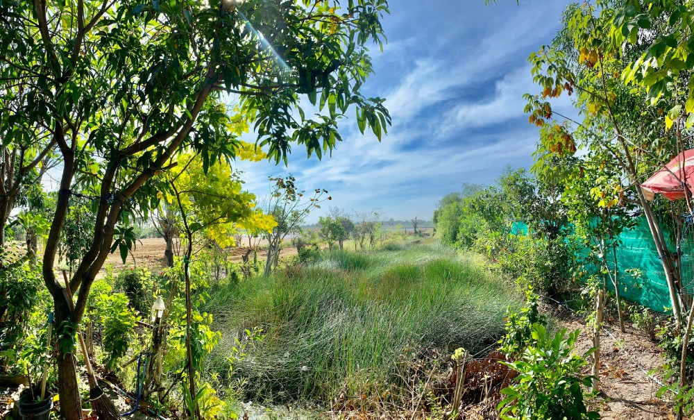 For SaleHousePathum Thani,Rangsit, Thammasat : 2-story detached house for sale, area 166.4 square meters, near Thammasat University, Rangsit, Ban Pathum Subdistrict, Sam Khok District, Pathum Thani Province.