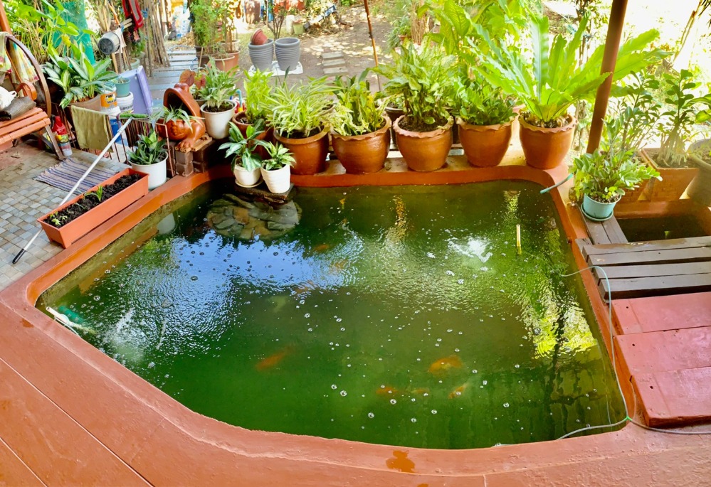 For SaleHousePathum Thani,Rangsit, Thammasat : 2-story detached house for sale, area 166.4 square meters, near Thammasat University, Rangsit, Ban Pathum Subdistrict, Sam Khok District, Pathum Thani Province.