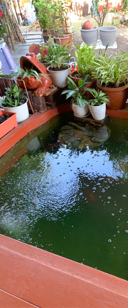 For SaleHousePathum Thani,Rangsit, Thammasat : 2-story detached house for sale, area 166.4 square meters, near Thammasat University, Rangsit, Ban Pathum Subdistrict, Sam Khok District, Pathum Thani Province.