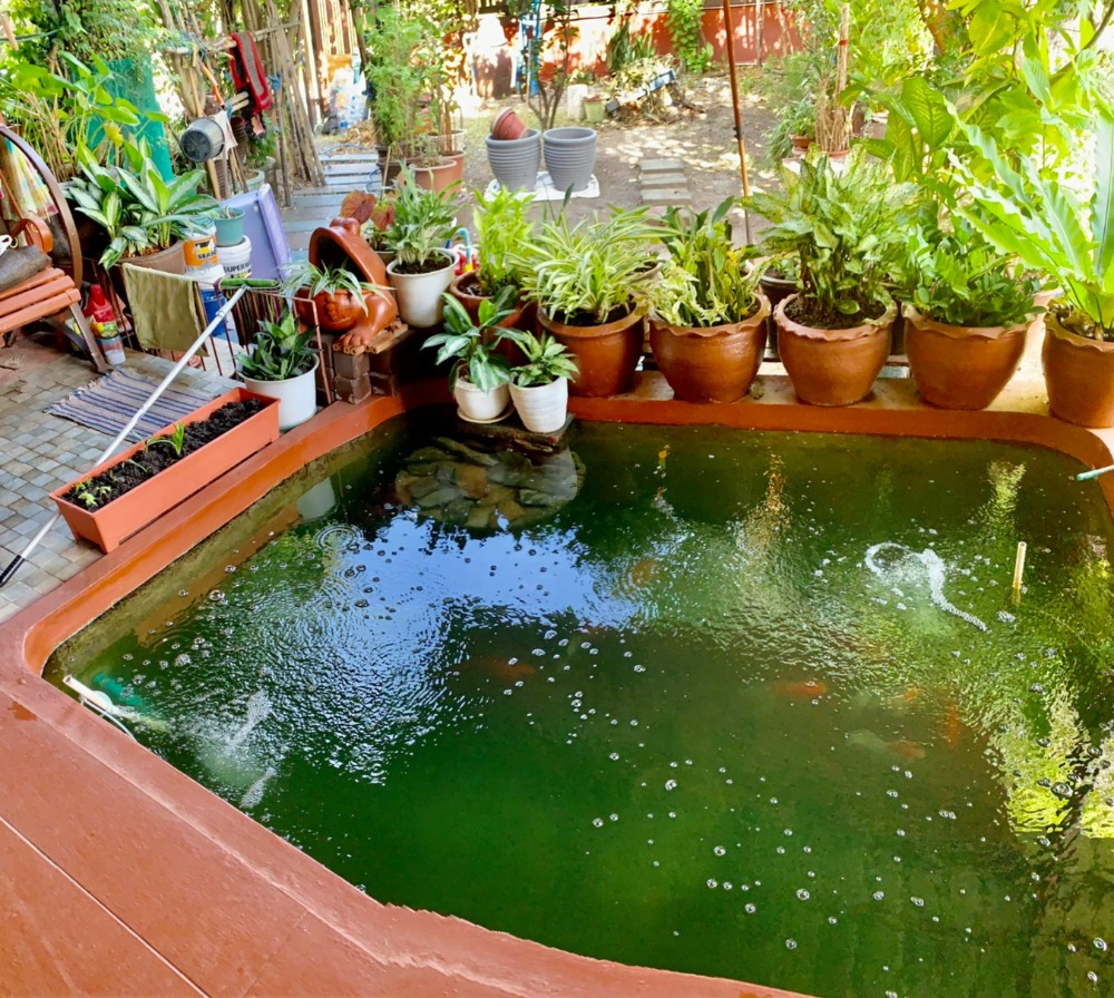 For SaleHousePathum Thani,Rangsit, Thammasat : 2-story detached house for sale, area 166.4 square meters, near Thammasat University, Rangsit, Ban Pathum Subdistrict, Sam Khok District, Pathum Thani Province.