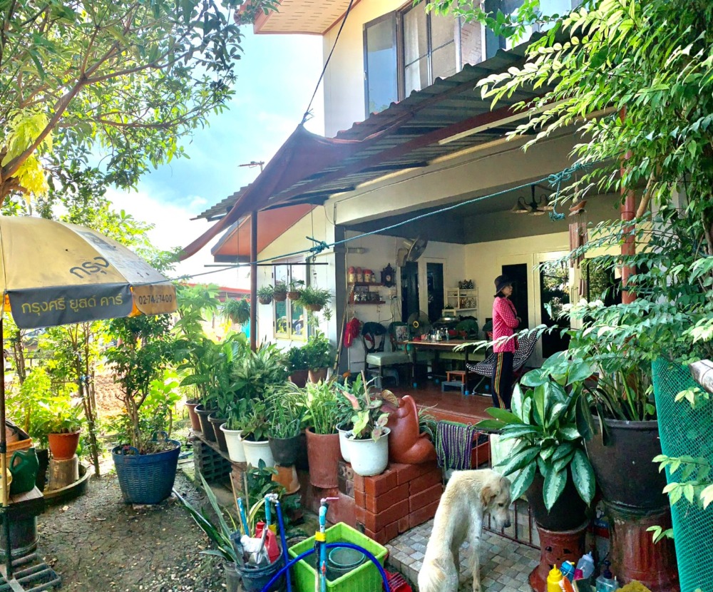 For SaleHousePathum Thani,Rangsit, Thammasat : 2-story detached house for sale, area 166.4 square meters, near Thammasat University, Rangsit, Ban Pathum Subdistrict, Sam Khok District, Pathum Thani Province.