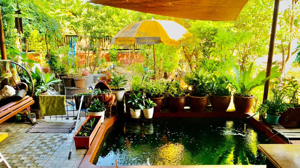 For SaleHousePathum Thani,Rangsit, Thammasat : 2-story detached house for sale, area 166.4 square meters, near Thammasat University, Rangsit, Ban Pathum Subdistrict, Sam Khok District, Pathum Thani Province.