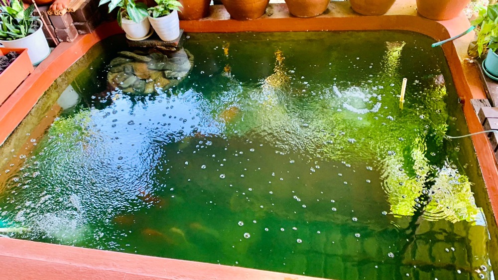 For SaleHousePathum Thani,Rangsit, Thammasat : 2-story detached house for sale, area 166.4 square meters, near Thammasat University, Rangsit, Ban Pathum Subdistrict, Sam Khok District, Pathum Thani Province.