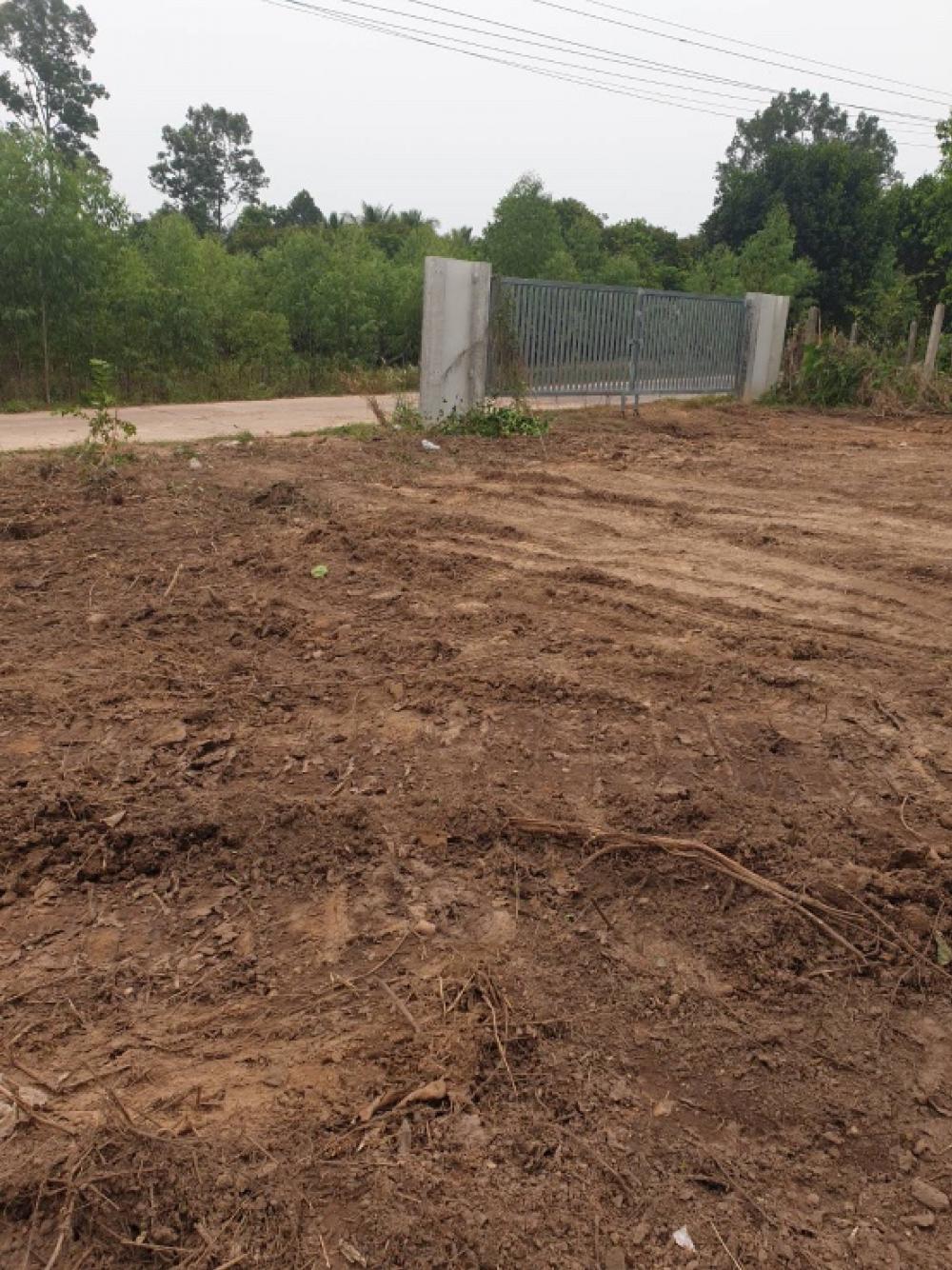 For SaleLandPrachin Buri : Land for sale, Prachinburi, 41 rai