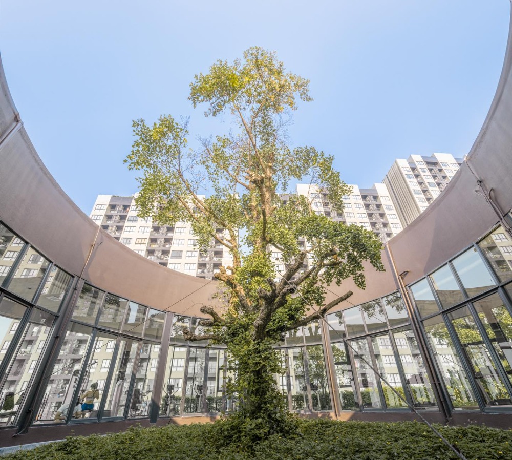 ขายคอนโดอ่อนนุช อุดมสุข : 2 BERROOM BIGSIZE I 53 SQM I ฟรีค่าส่วนกลาง 5 ปี I ฟรีค่าใช้จ่ายวันโอน I กู้ 110%