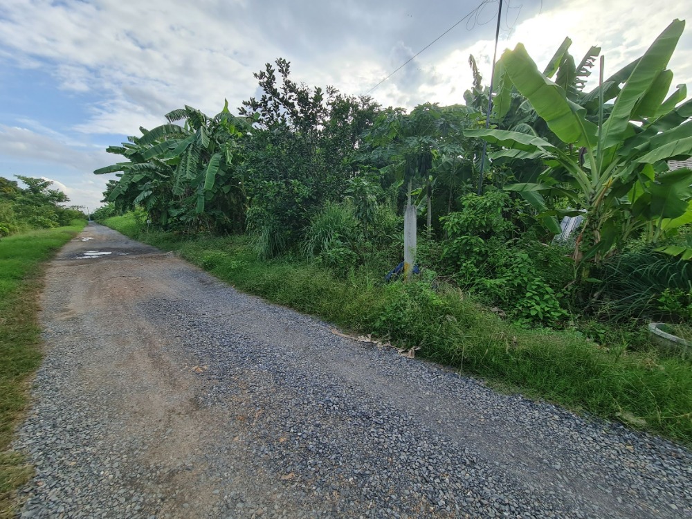 ขายที่ดินปทุมธานี รังสิต ธรรมศาสตร์ : ขายที่ดินเปล่า สามโคก ปทุมธานี เนื้อที่ 10-1-0 ไร่
