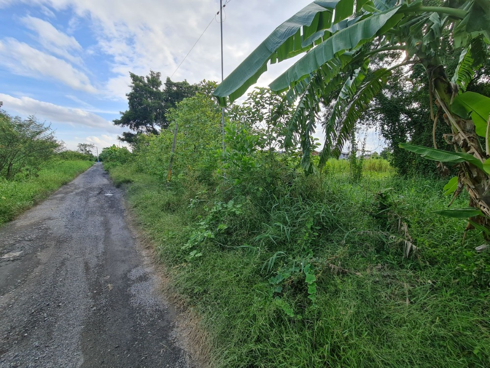 ขายที่ดินปทุมธานี รังสิต ธรรมศาสตร์ : ขายที่ดินเปล่า สามโคก ปทุมธานี เนื้อที่ 10-1-0 ไร่