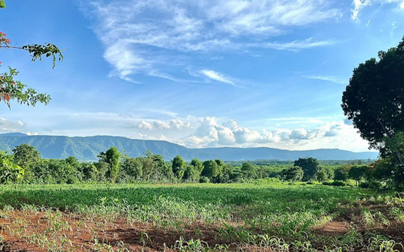 For SaleLandPak Chong KhaoYai : Khao Yai beautiful land 42 rai for Sale