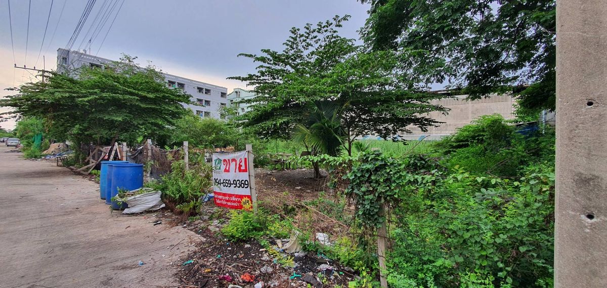 ขายที่ดินบางแค เพชรเกษม : ขายที่ดินสีม่วง เพชรเกษม 122 📌พื้นที่ 337 ตรว. (แบ่งขายได้) เหมาะโรงงาน โกดัง อพาร์ทเม้น ที่พักอาศัย โฮมออฟฟิต อ้อมน้อย กระทุ่มแบน สมุทรสาคร