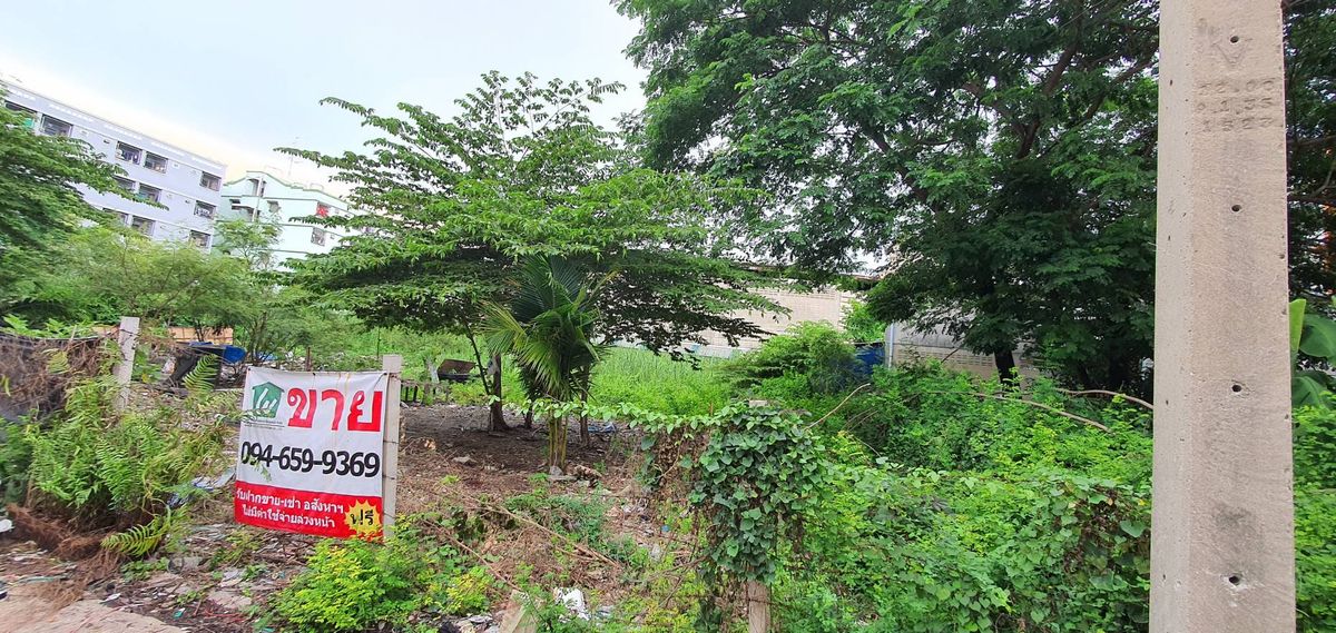 ขายที่ดินบางแค เพชรเกษม : ขายที่ดินสีม่วง เพชรเกษม 122 📌พื้นที่ 337 ตรว. (แบ่งขายได้) เหมาะโรงงาน โกดัง อพาร์ทเม้น ที่พักอาศัย โฮมออฟฟิต อ้อมน้อย กระทุ่มแบน สมุทรสาคร