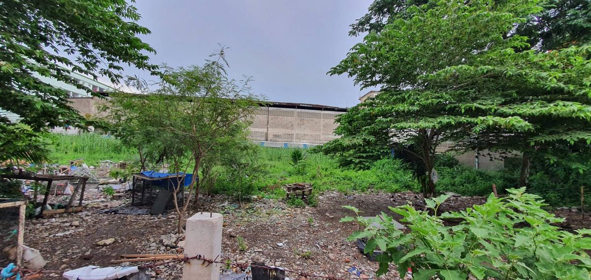 ขายที่ดินบางแค เพชรเกษม : ขายที่ดินสีม่วง เพชรเกษม 122 📌พื้นที่ 337 ตรว. (แบ่งขายได้) เหมาะโรงงาน โกดัง อพาร์ทเม้น ที่พักอาศัย โฮมออฟฟิต อ้อมน้อย กระทุ่มแบน สมุทรสาคร