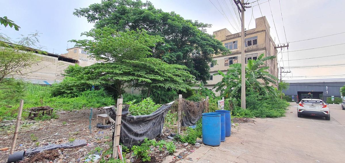 ขายที่ดินบางแค เพชรเกษม : ขายที่ดินสีม่วง เพชรเกษม 122 📌พื้นที่ 337 ตรว. (แบ่งขายได้) เหมาะโรงงาน โกดัง อพาร์ทเม้น ที่พักอาศัย โฮมออฟฟิต อ้อมน้อย กระทุ่มแบน สมุทรสาคร