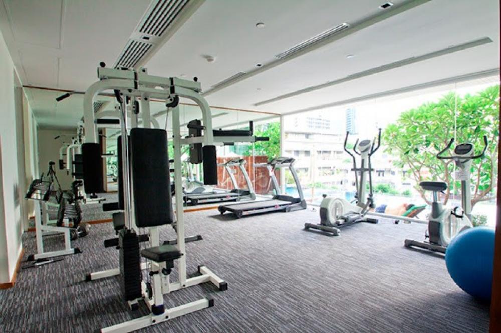 For RentCondoSukhumvit, Asoke, Thonglor : 🏢 For Rent | Wind Sukhumvit 23 – Prime Asoke Area 