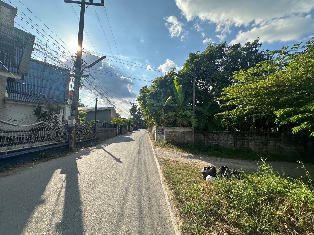For SaleLandChiang Mai : Land for sale in Chiang Mai San Sai Noi Subdistrict Chiang Mai ready to transfer