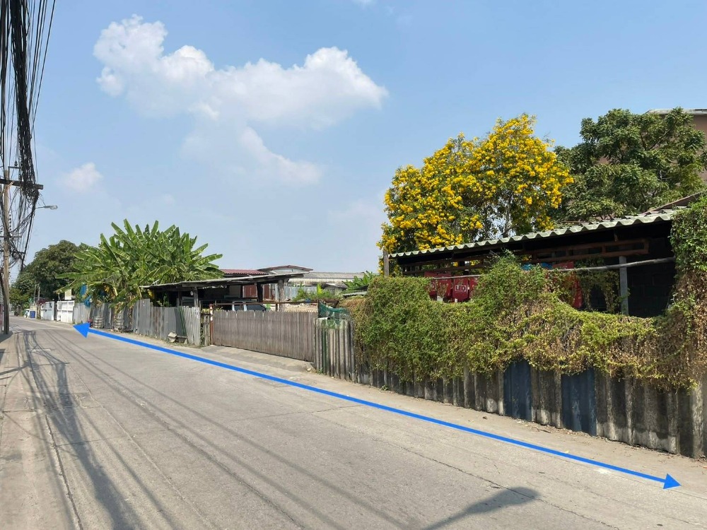 ให้เช่าที่ดินแจ้งวัฒนะ เมืองทอง : ให้เช่าที่ดิน 115 ตรว. ซอยแจ้งวัฒนะ 6(N.921)