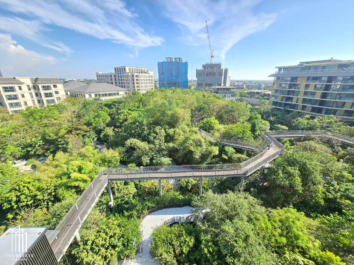 For SaleCondoBangna, Bearing, Lasalle : Condo for SALE *Mulberry Grove The Forestias 223.79 sq.m. 3 bedroom @65 MB