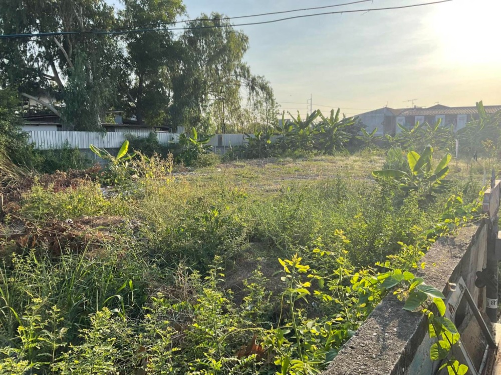 ขายที่ดินปทุมธานี รังสิต ธรรมศาสตร์ : 📢ขาย ที่ดิน ถมสูง พร้อมสร้างสิ่งปลูกสร้างได้ ฮวงจุ้ยดี (ตารางวาละ 42,000 บาท) โฉนดครุฑแดง,พื้นที่สีส้ม