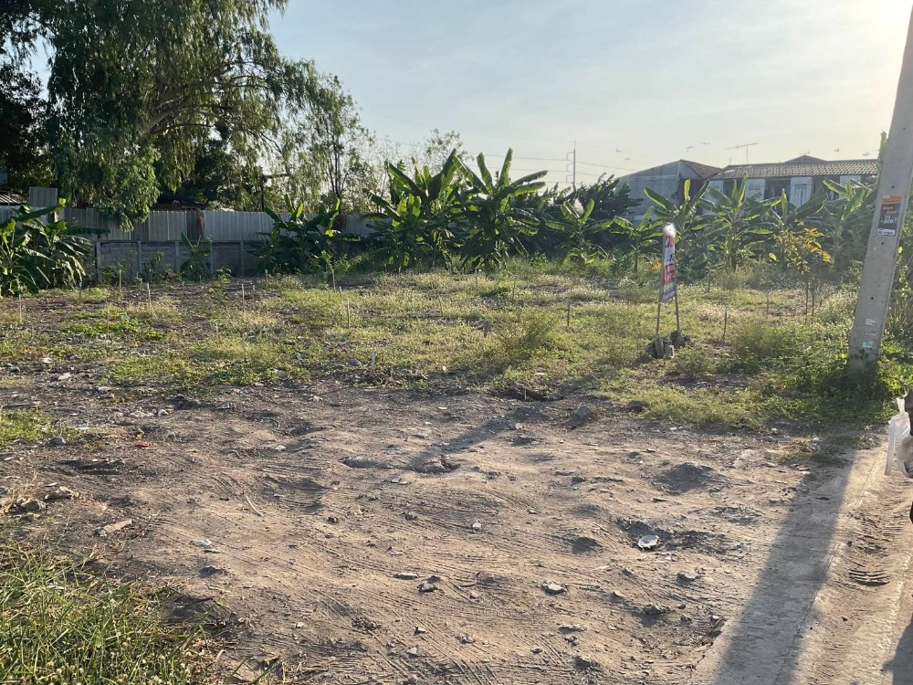 For SaleLandPathum Thani,Rangsit, Thammasat : 📢Land for sale, elevated terrain suitable for construction, excellent Feng Shui (42,000 Baht per sq.wa), with Chanote title deed, orange-zoned area.