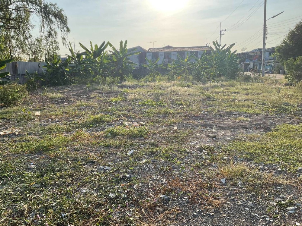 ขายที่ดินปทุมธานี รังสิต ธรรมศาสตร์ : 📢ขาย ที่ดิน ถมสูง พร้อมสร้างสิ่งปลูกสร้างได้ ฮวงจุ้ยดี (ตารางวาละ 42,000 บาท) โฉนดครุฑแดง,พื้นที่สีส้ม