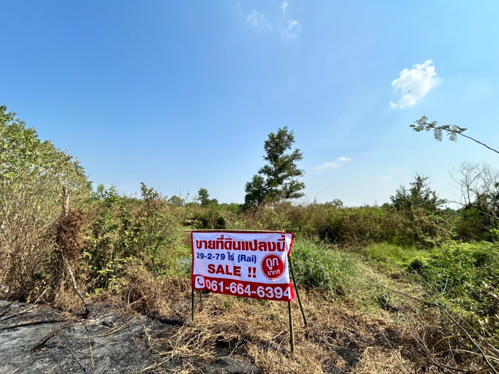 For SaleLandNakhon Nayok : Land for sale in Nakhon Nayok 29-2-79 rai is very cheap !!