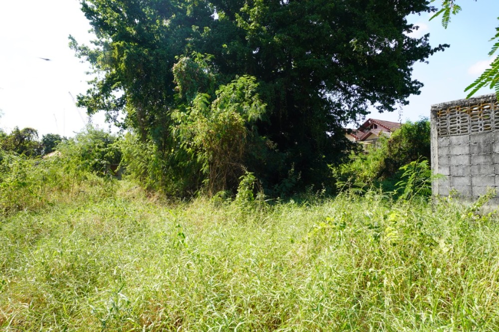 ขายที่ดินเกษตรศาสตร์ รัชโยธิน : ขายที่ดินเปล่า ซอยท่านคุณหญิงพหล ขนาด 409 ตร.ว. ทำเลดี เข้าออกได้หลายทาง