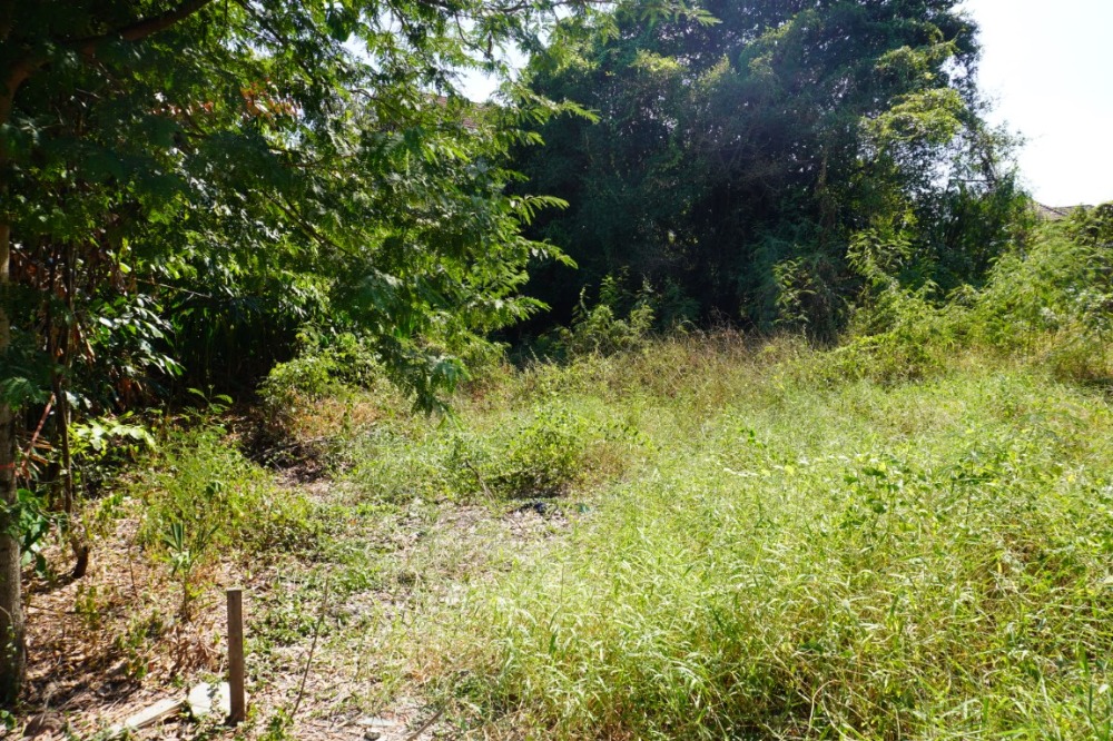 ขายที่ดินเกษตรศาสตร์ รัชโยธิน : ขายที่ดินเปล่า ซอยท่านคุณหญิงพหล ขนาด 409 ตร.ว. ทำเลดี เข้าออกได้หลายทาง