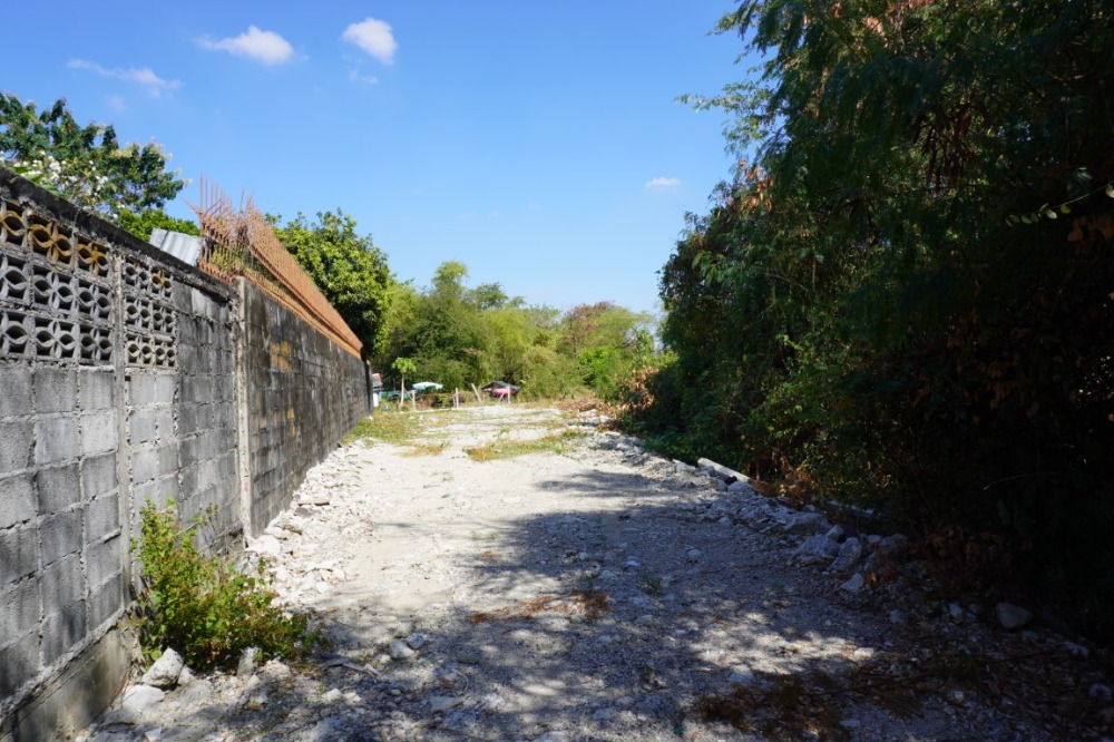 ขายที่ดินเกษตรศาสตร์ รัชโยธิน : ขายที่ดินเปล่า ซอยท่านคุณหญิงพหล ขนาด 409 ตร.ว. ทำเลดี เข้าออกได้หลายทาง