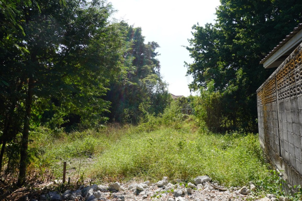 ขายที่ดินเกษตรศาสตร์ รัชโยธิน : ขายที่ดินเปล่า ซอยท่านคุณหญิงพหล ขนาด 409 ตร.ว. ทำเลดี เข้าออกได้หลายทาง