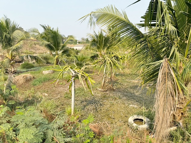 For SaleLandMin Buri, Romklao : Land for sale, large plot, Ramkhamhaeng 174, Minburi, 12 rai, near the Orange Line.