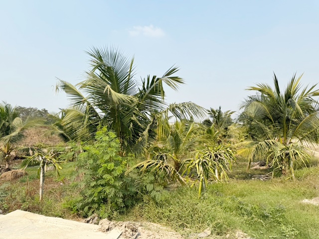 For SaleLandMin Buri, Romklao : Land for sale, large plot, Ramkhamhaeng 174, Minburi, 12 rai, near the Orange Line.