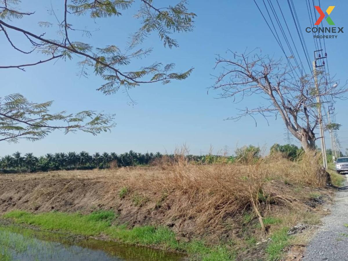 For SaleLandNonthaburi, Bang Yai, Bangbuathong : For Sale Land 1 rai, Sai Noi , Rat Niyom , Sai Noi , Nonthaburi , CX-92350