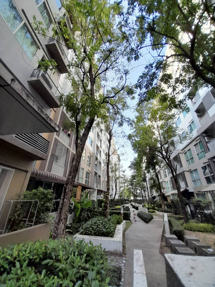 For SaleCondoOnnut, Udomsuk : Condo for sale, A Space Sukhumvit 77, A Space Sukhumvit 77, 2nd floor, garden view (N.931)
