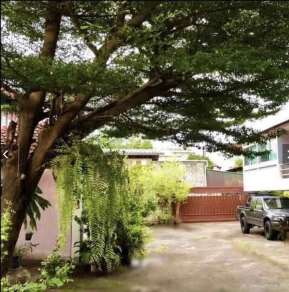 For SaleLandOnnut, Udomsuk : Land for Sale with 3 Houses on Sukhumvit 62 Near BTS Bang Chak Large Plot Ideal for Long Term Investment