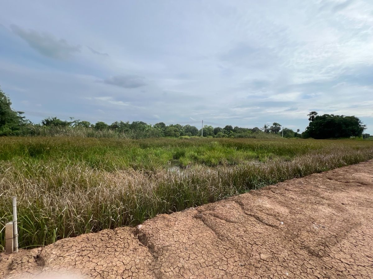 For SaleLandPathum Thani,Rangsit, Thammasat : 🔥🔥🔥Land for sale, 13 rai, 2 rai, 1 rai, 200 wa, Lam Luk Ka, Khlong 10, next to black road, good location, if interested, call urgently, call 0933-979-464.