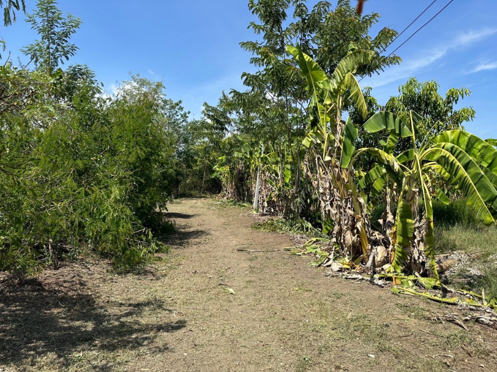 For SaleLandPhetchabun : Empty land for sale, Red Garuda title deed, 5 rai 19 sq m, lump sum price 5 rai 19 sq m, 2,750,000 baht.