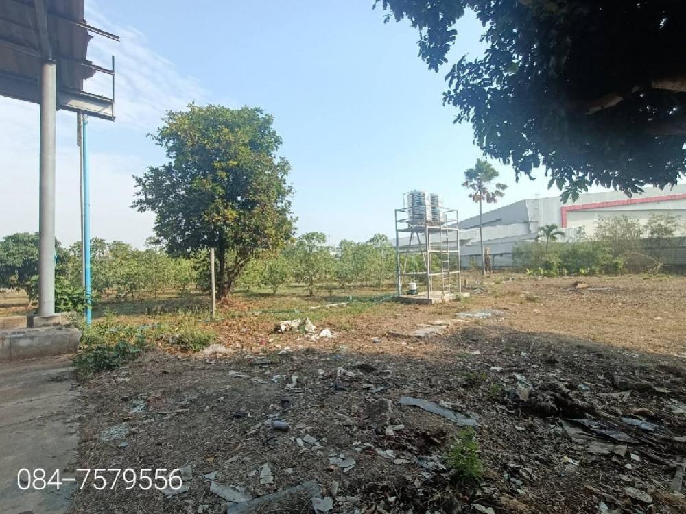 For SaleFactoryPathum Thani,Rangsit, Thammasat : large factory for sale 🚩Lat Lum Kaeo District, Pathum Thani Province