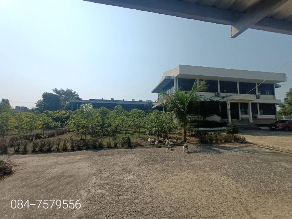 For SaleFactoryPathum Thani,Rangsit, Thammasat : large factory for sale 🚩Lat Lum Kaeo District, Pathum Thani Province