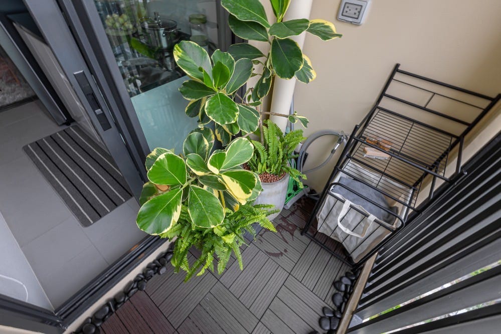 For SaleCondoKasetsart, Ratchayothin : ✅ S-CWK101 ✅ Line : @p2nproperty