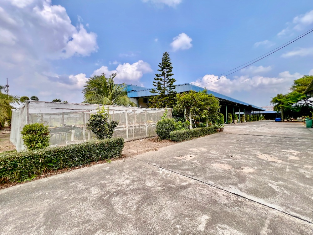 ขายโรงงานพัทยา บางแสน ชลบุรี สัตหีบ : ขาย ที่ดิน พร้อม โกดัง พนัสนิคม ชลบุรี