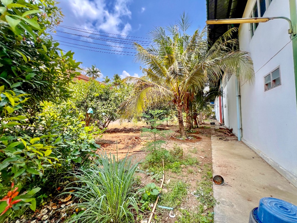 ขายโรงงานพัทยา บางแสน ชลบุรี สัตหีบ : ขาย ที่ดิน พร้อม โกดัง พนัสนิคม ชลบุรี