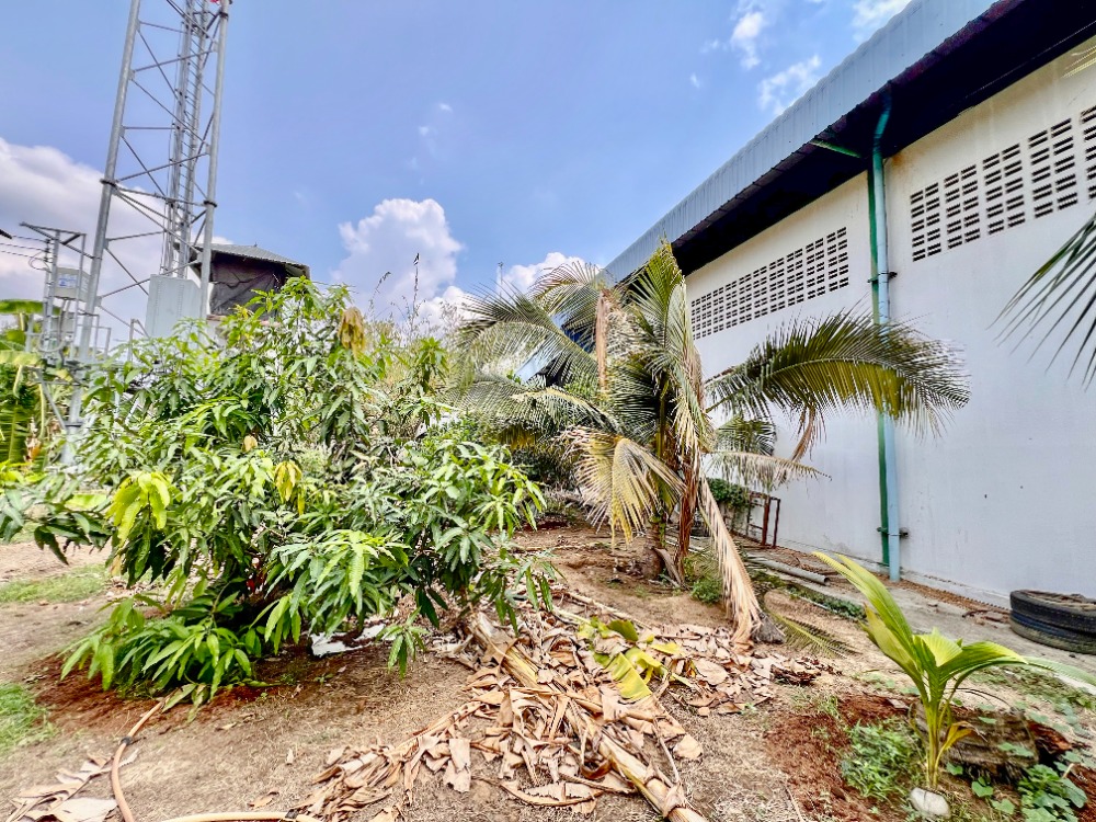 ขายโรงงานพัทยา บางแสน ชลบุรี สัตหีบ : ขาย ที่ดิน พร้อม โกดัง พนัสนิคม ชลบุรี