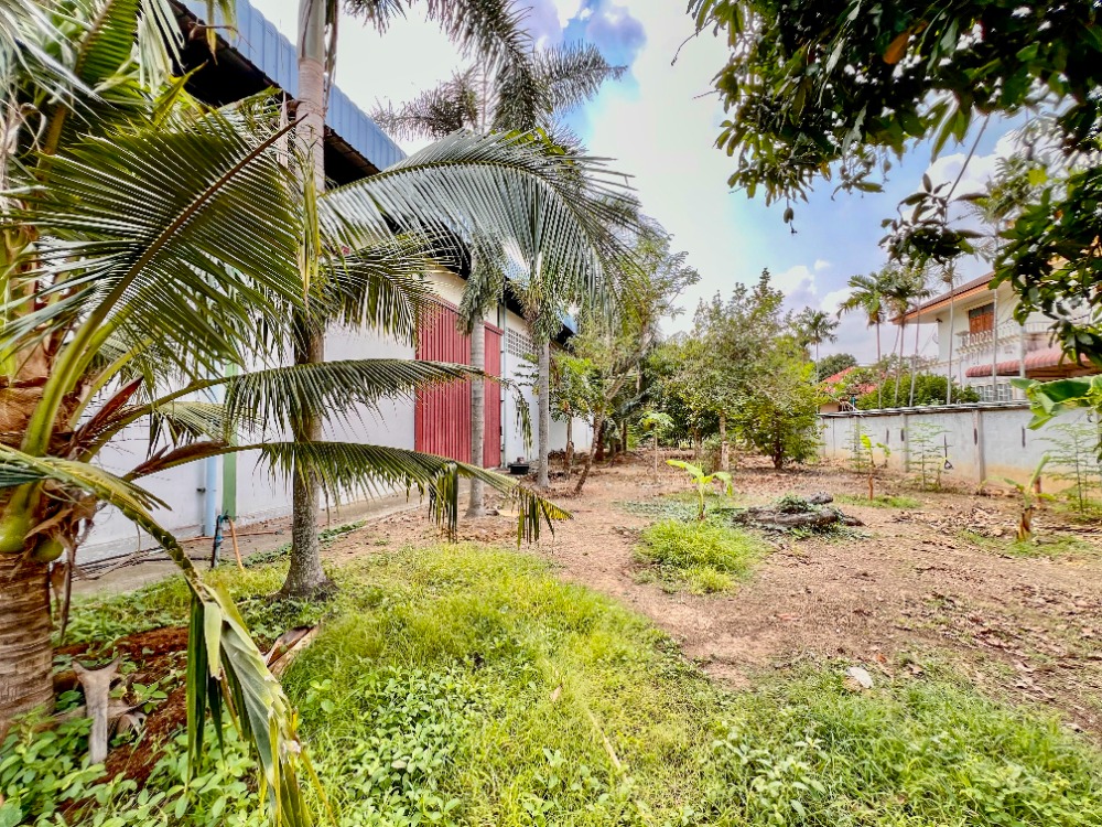 ขายโรงงานพัทยา บางแสน ชลบุรี สัตหีบ : ขาย ที่ดิน พร้อม โกดัง พนัสนิคม ชลบุรี