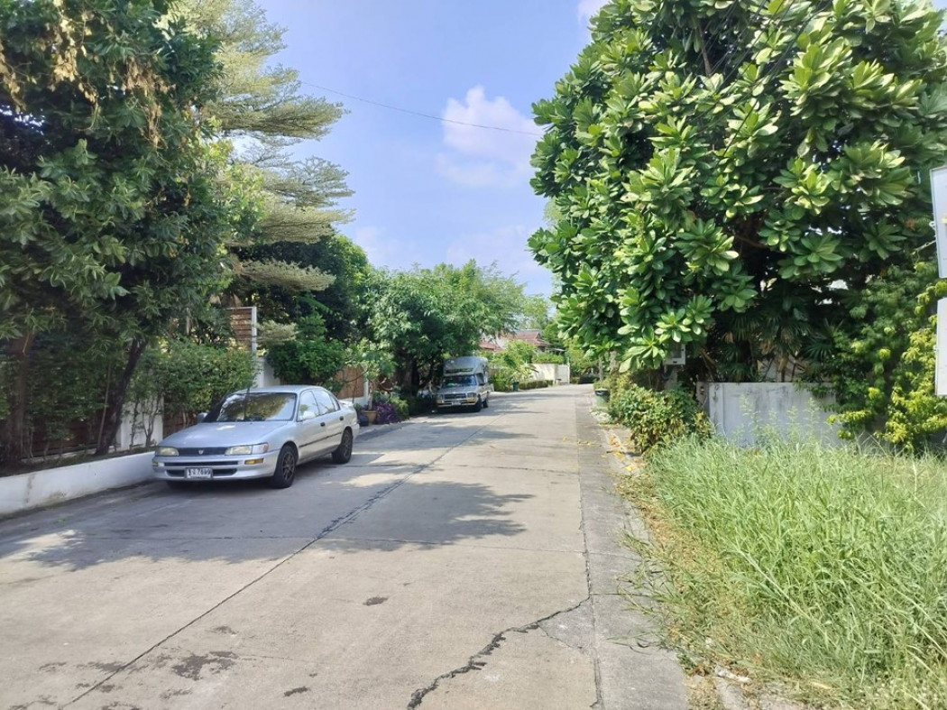 ขายที่ดินนวมินทร์ รามอินทรา : ขาย ที่ดินสวย บ้านแมกไม้ รามอินทรา 1 งาน 54.6 ตร.วา เหมาะปลูกบ้าน ออฟฟิศ